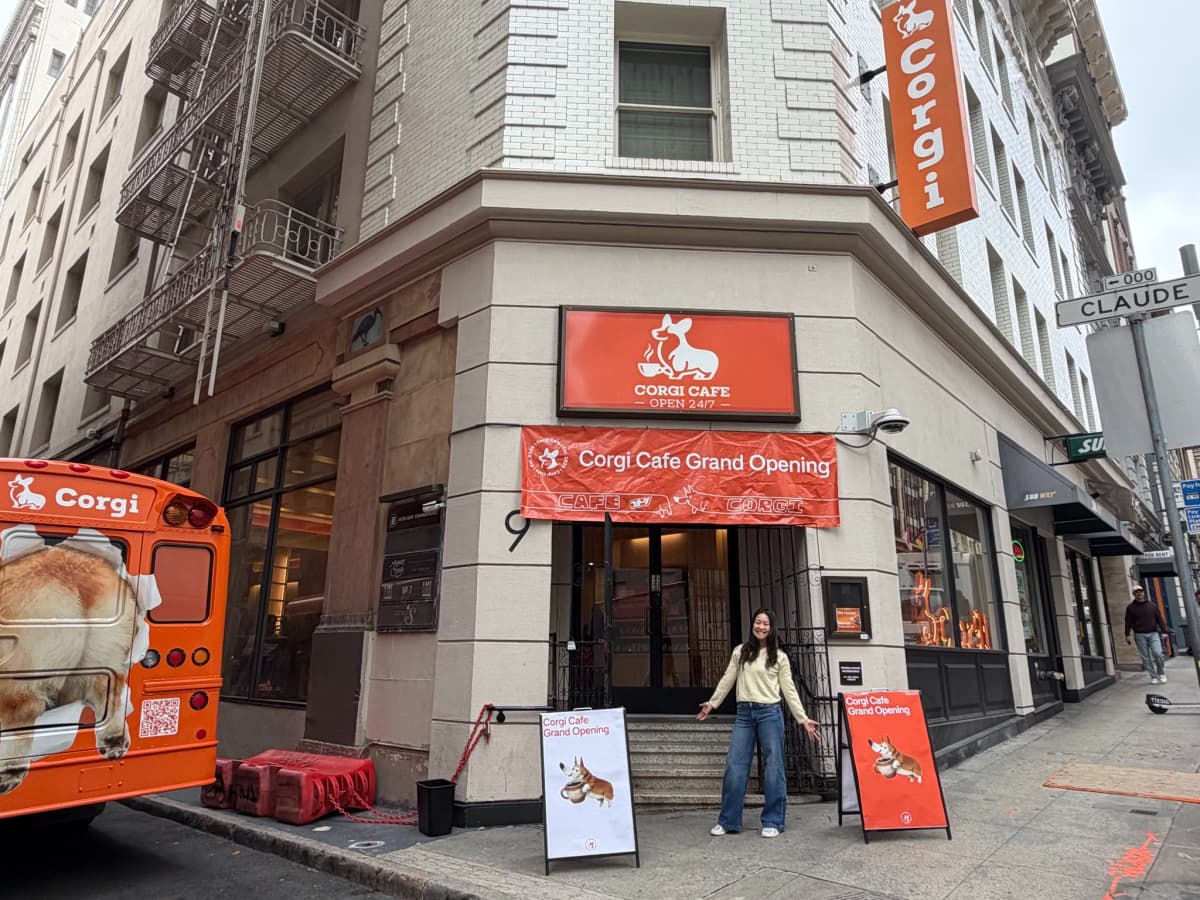 Corgi Cafe's grand opening. Source: @nico_laqua on X.